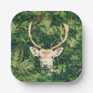 Assiettes En Carton Peek a Deer