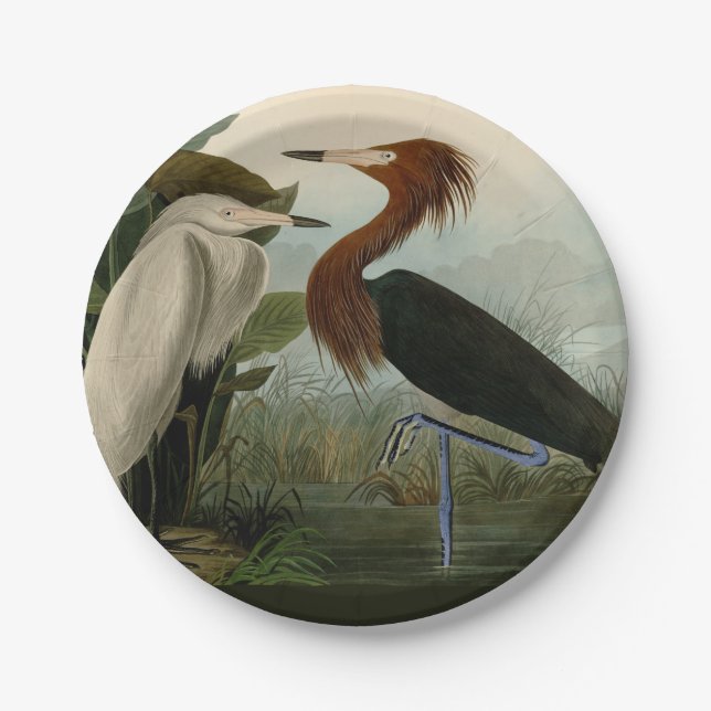 Assiettes En Carton Peinture de la faune d'Audubon Heron violet (Devant)
