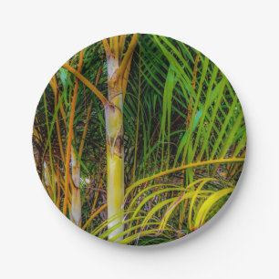 Assiettes En Carton Perdu dans Areca Palms Plaque papier