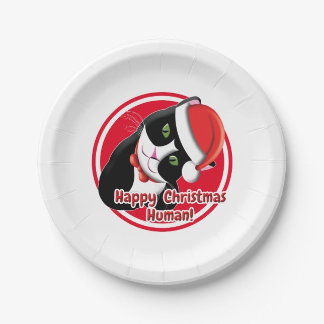 Assiettes En Carton Père Noël Cat (Devant)