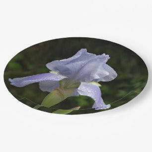 Assiettes En Carton Périwinkle Iris Petals Raindrops