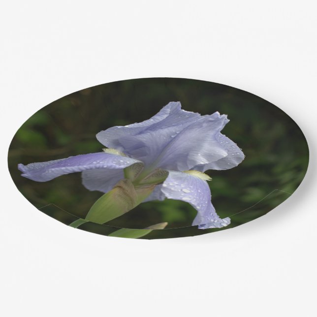 Assiettes En Carton Périwinkle Iris Petals Raindrops (Angle)