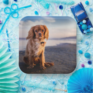 Assiettes En Carton Petit chien mignon