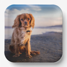 Assiettes En Carton Petit chien mignon