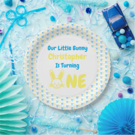 Assiettes En Carton Petit Lapin Garçon 1er Anniversaire