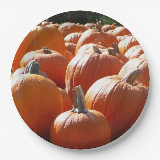 Assiettes En Carton Photo citrouille pour automne, Halloween ou Thanks (Devant)