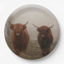 Photo de brouillard de bovins Highland
