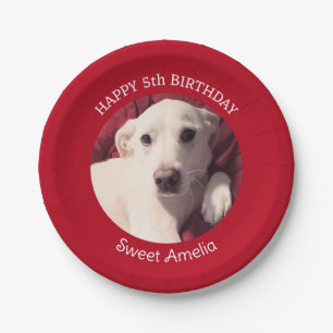 Assiettes En Carton Photo de Chien Chien Mignonne 5Anniversaire Parti 