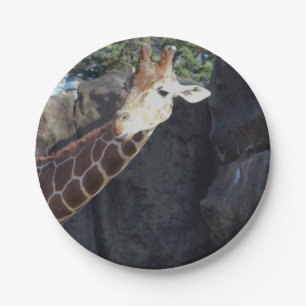 Assiettes En Carton Photo de girafe