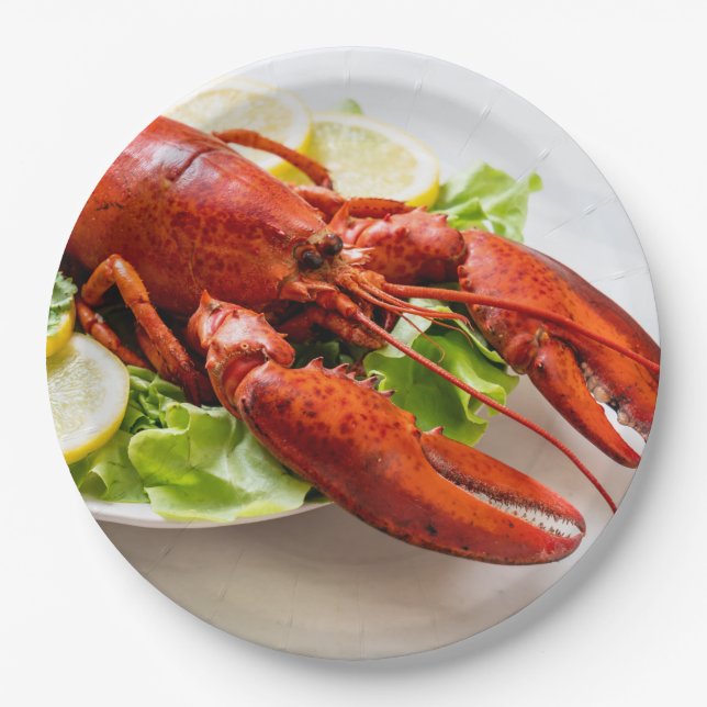 Assiettes En Carton Photo de homard (Devant)