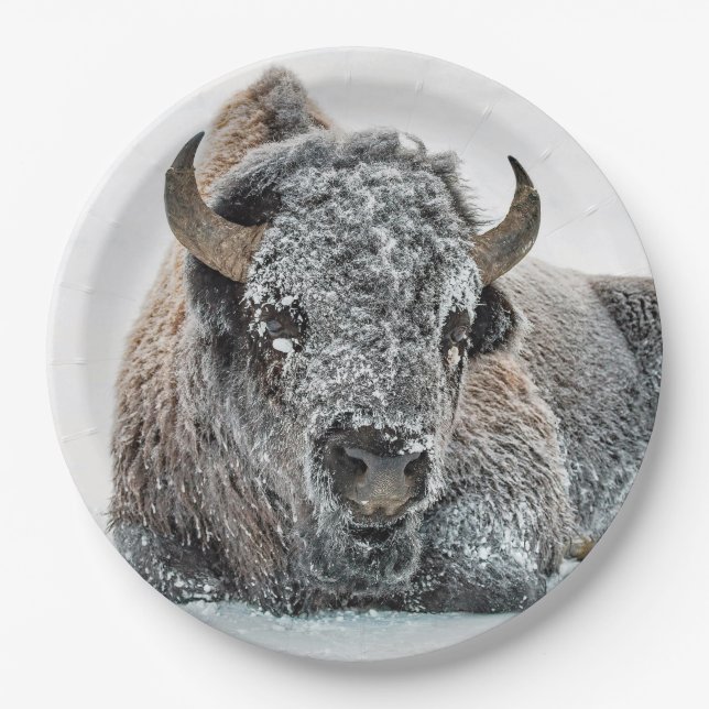 Assiettes En Carton Photo de la neige de Buffalo (Devant)