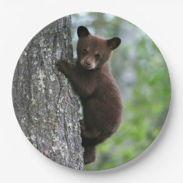 Assiettes En Carton Photo de l'arbre de l'ours Brown
