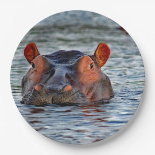 Assiettes En Carton Photo d'eau d'Hippo Faune