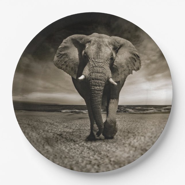 Assiettes En Carton Photo d'éléphant Bull de la faune (Devant)