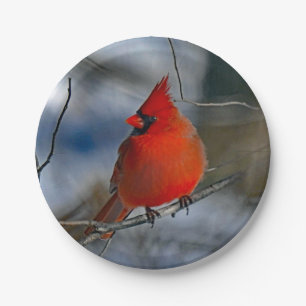 Assiettes En Carton Photo du cardinal Red Winter