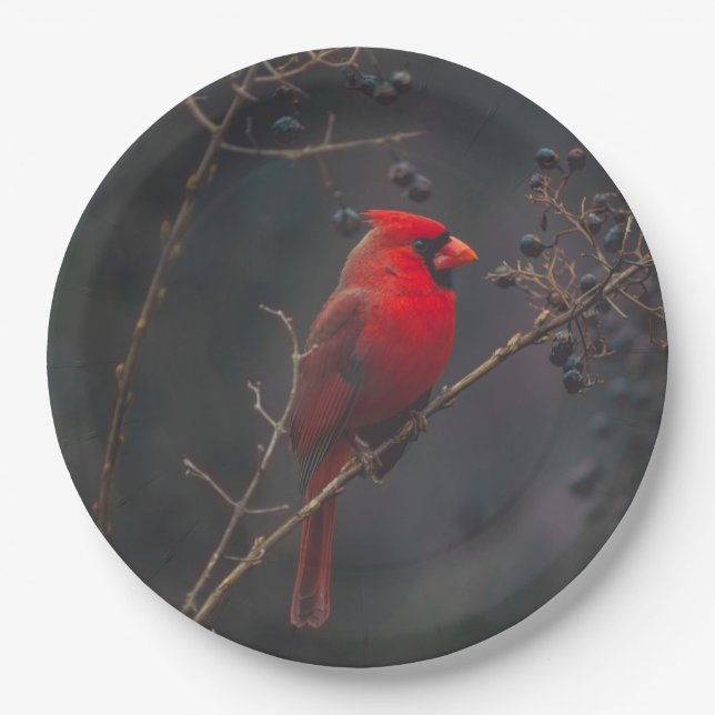 Assiettes En Carton Photo du cardinal rouge de la faune (Devant)