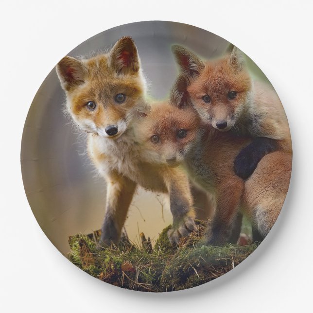 Assiettes En Carton Photo Fox Kits (Devant)