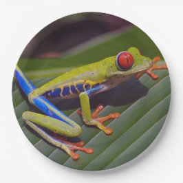 Assiettes En Carton Photo Frog Red Eye