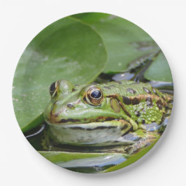 Assiettes En Carton Photo Grenouille Green Lily Pad