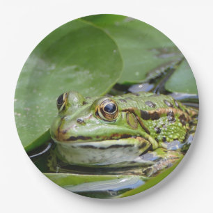 Assiettes En Carton Photo Grenouille Green Lily Pad