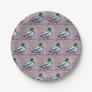 Assiettes En Carton Photo Mallard Duck