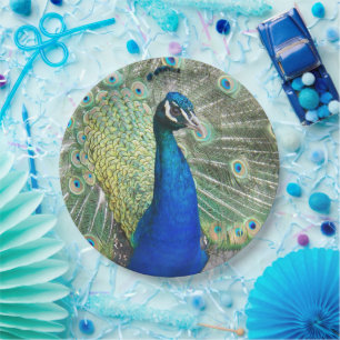 Assiettes En Carton Photo Plumage de plumes de paquebot bleu