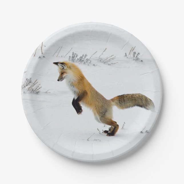 Assiettes En Carton Photo renard de neige (Devant)