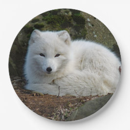 Assiettes En Carton Photo White Fox