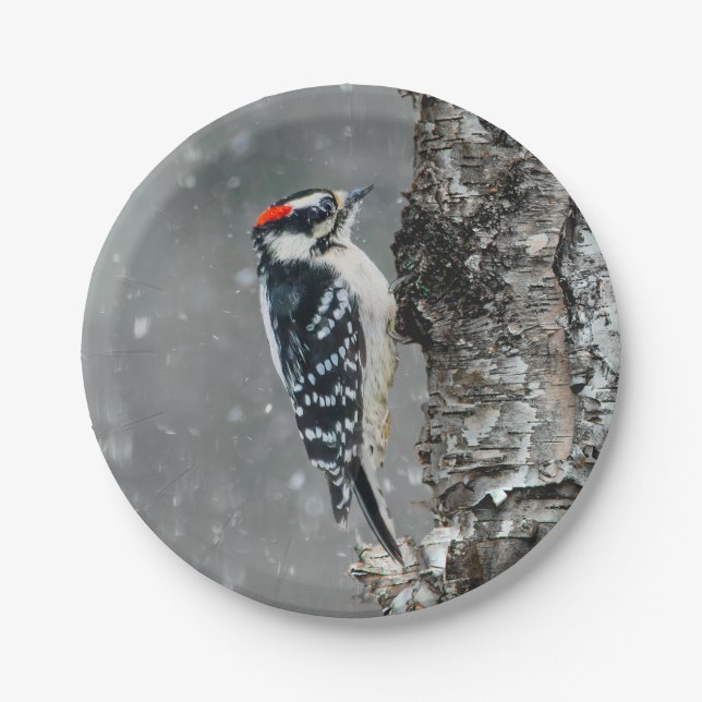 Assiettes En Carton Pic Downy en neige - Photo originale (Devant)