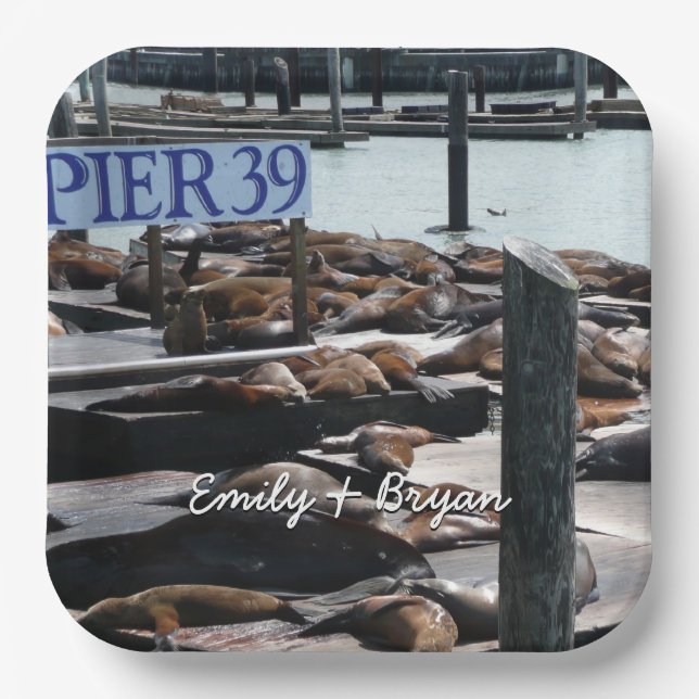 Assiettes En Carton Pier 39 Sea Lions (Recto)