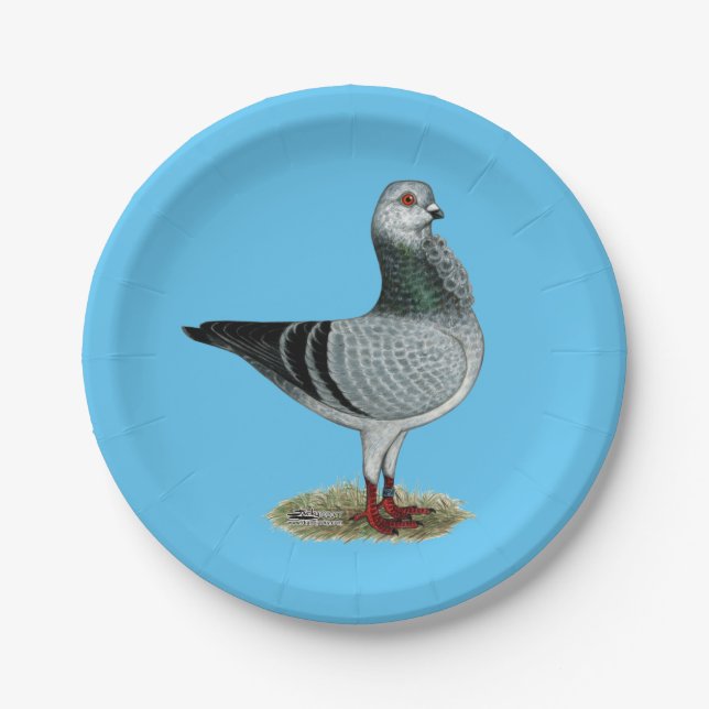 Assiettes En Carton Pigeon italien de Grizzle de hibou (Devant)
