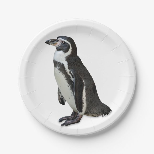 Assiettes En Carton Pingouin (Devant)