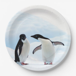 Assiettes En Carton Pingouins d'Adelie