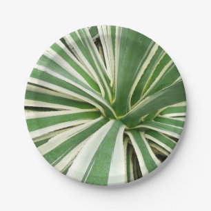 Assiettes En Carton Plante Agave Vert et blanc rayé