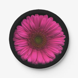 Assiettes En Carton Plantes sur la marguerite rose de plats
