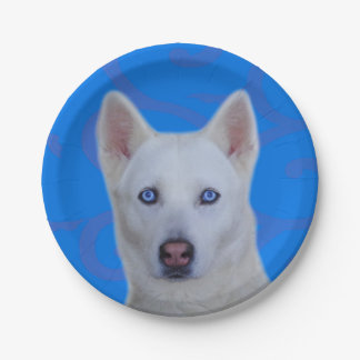 Assiettes En Carton Plaque à papier blanche de chien de traîneau