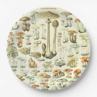Assiettes En Carton Plaque à papier de champignons