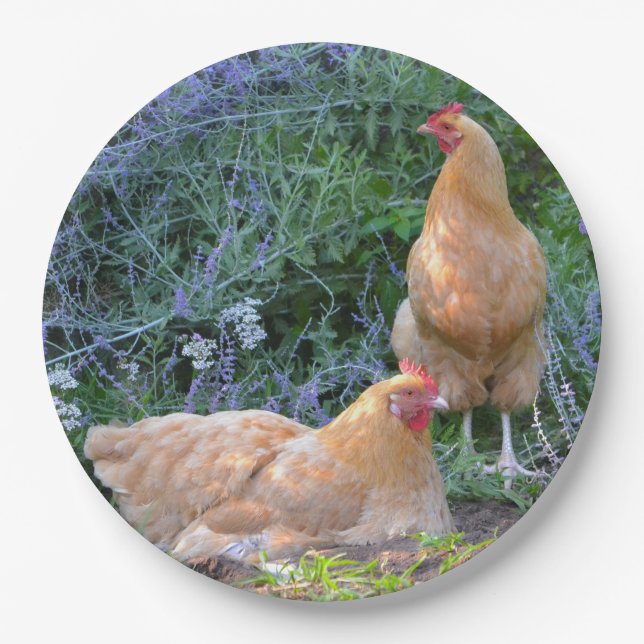 Assiettes En Carton Plaque à papier de poulet (Devant)