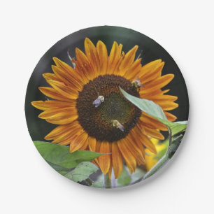 Assiettes En Carton Plaque à papier de tournesol renversant