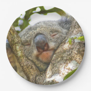 Assiettes En Carton Plaque à papier d'ours de koala