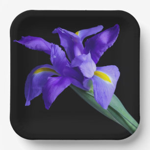 Assiettes En Carton Plaque Carré Iris Violet