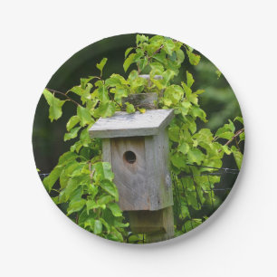 Assiettes En Carton Plaque de papier Bird House