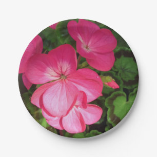 Assiettes En Carton Plaque de papier en géranium rose