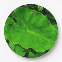 Plaque de papier feuille nature