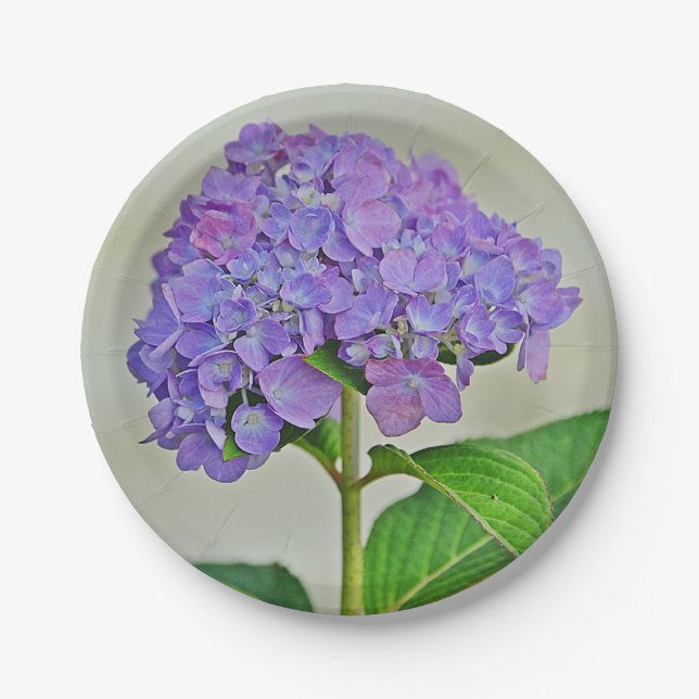 Assiettes En Carton Plaque de papier Hydrangea (Devant)