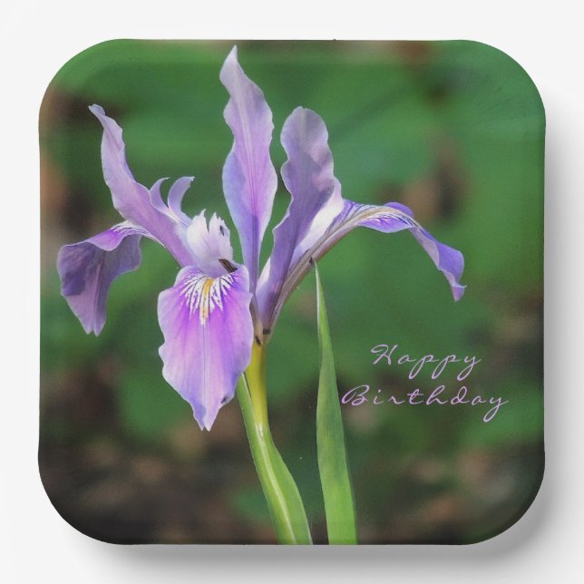 Assiettes En Carton Plaque de papier Iris violet (Recto)