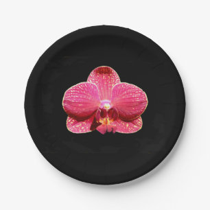 Assiettes En Carton Plaque de papier Moth Orchid