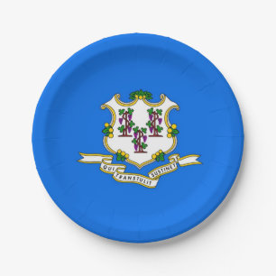 Assiettes En Carton Plaque de papier patriotique avec drapeau du Conne