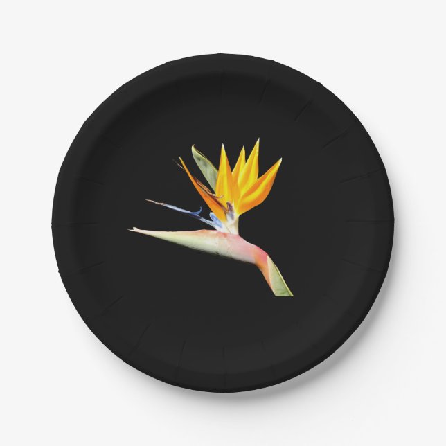 Assiettes En Carton Plaque de papier Plante Bird of Paradise (Devant)