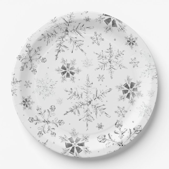 Assiettes En Carton Plaque de papier pour les flocons d'hiver (Devant)